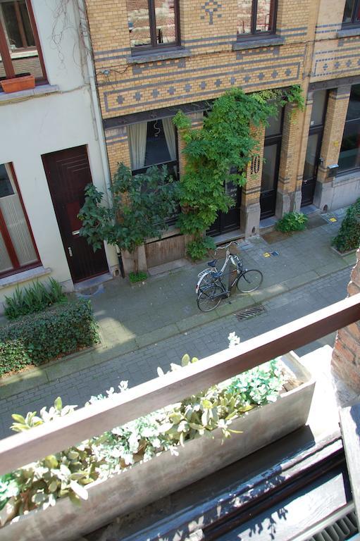 Zuiderzin Villa Antwerpen Rum bild